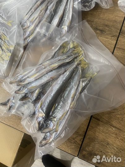 Зубарь сахалинский