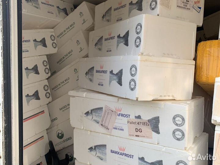 Термобокс из пенопласта