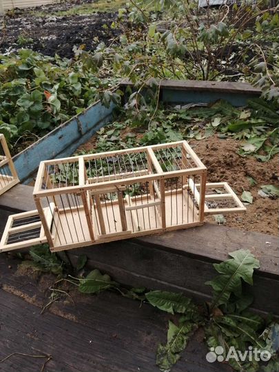 Хлопки для птиц