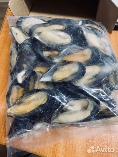 Мидии (размер XL)