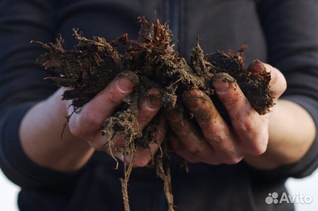 Перегной с доставкой