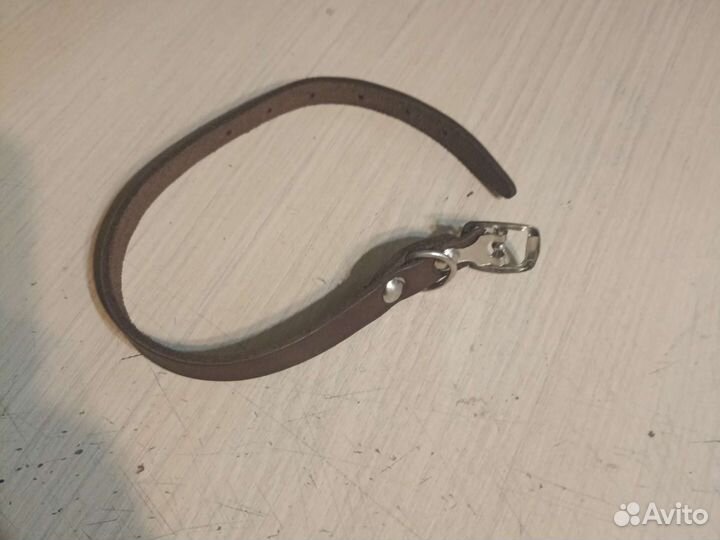 Ошейник для собак