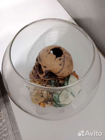 Аквариум для рыб