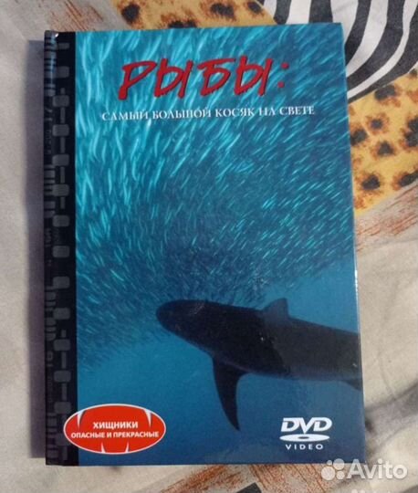 Диски коллекционные морские животные