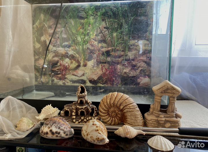 Аквариум для рыбок
