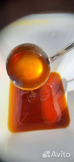 Алтайский мед оптом 2023