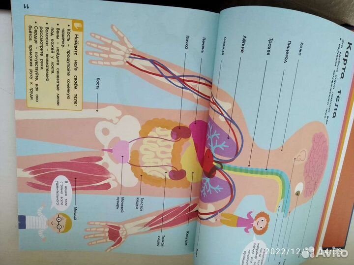 Невероятное путешествие вокруг/внутри челов. тела