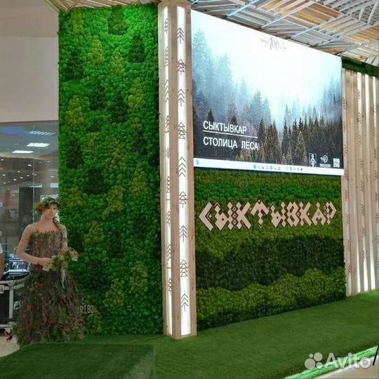 Стабилизированный мох