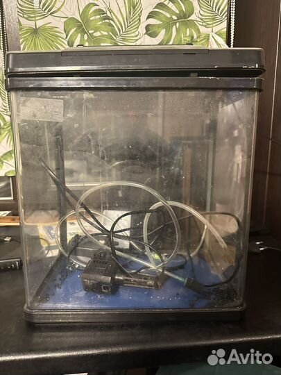 Аквариум