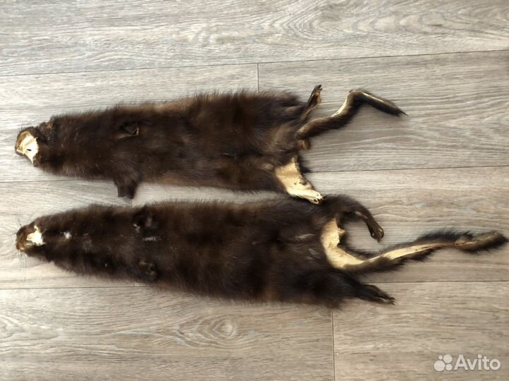 Шкурка животного