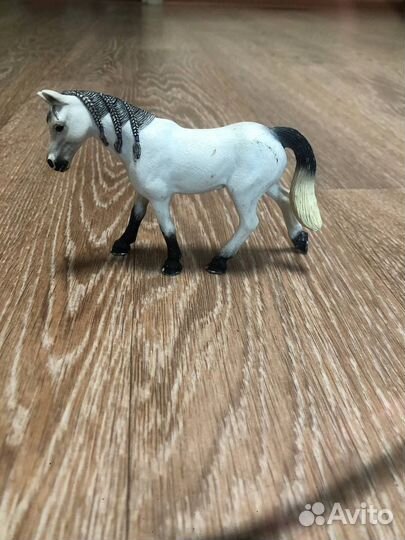 Лошади шляйх