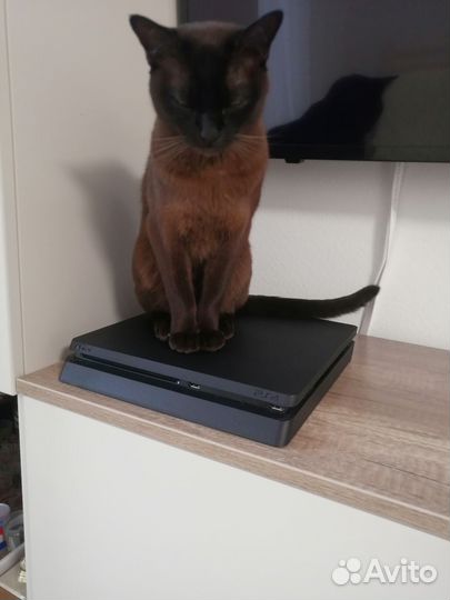 Sony playstation 4 slim 500gb 5.05