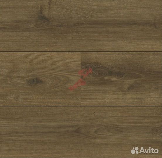 Alloc ламинат