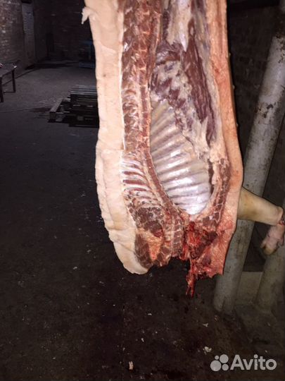Домашнее мясо свинины