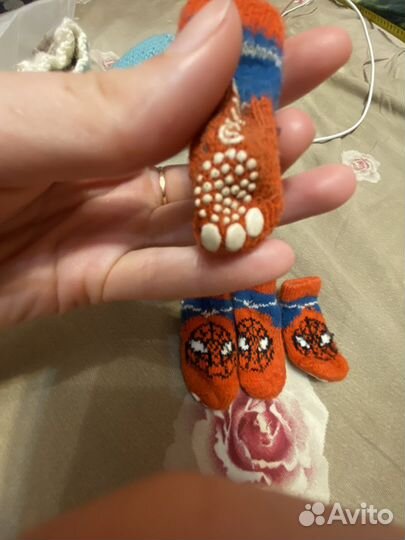 Тапочки для собак