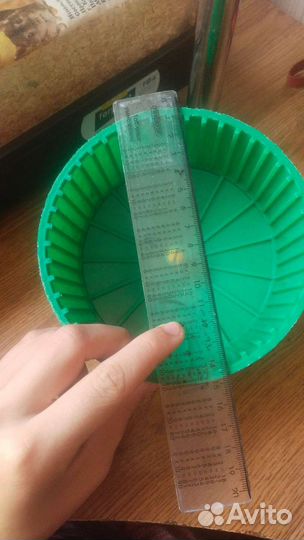 Вещи для хомяка