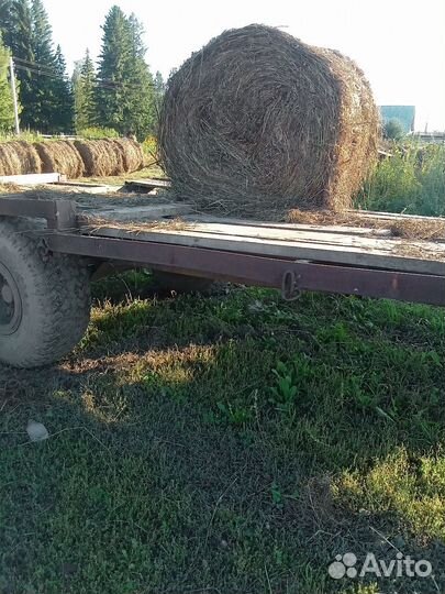 Сено в рулонах и тюках