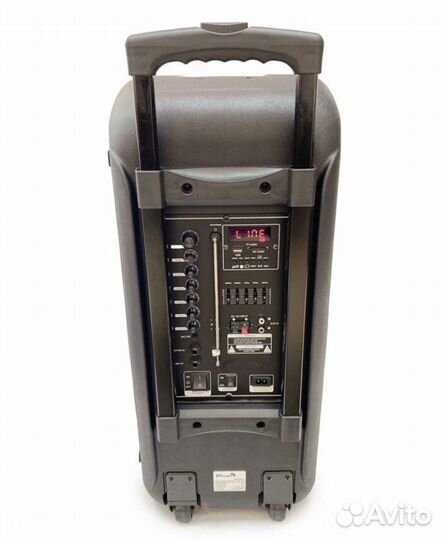 Колонка Eltronic 20-14