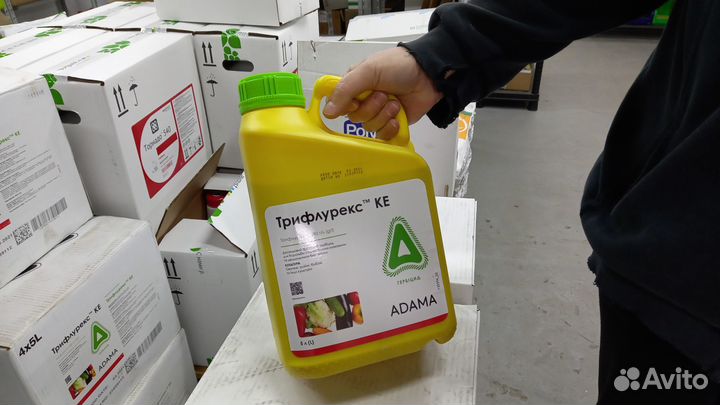 Гербицид Трифлурекс