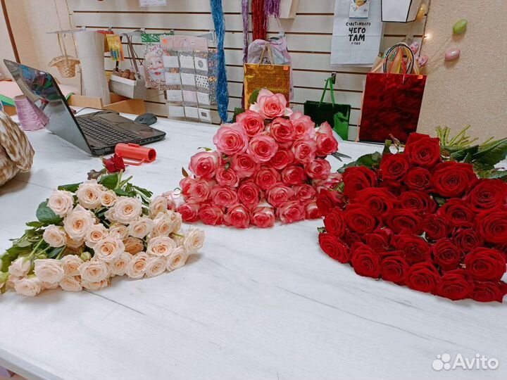 Красные розы Эквадор, хризантемы Эквадор