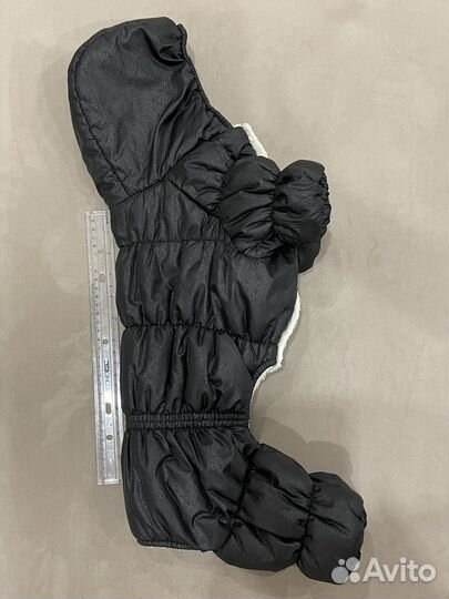 Одежда для собачки