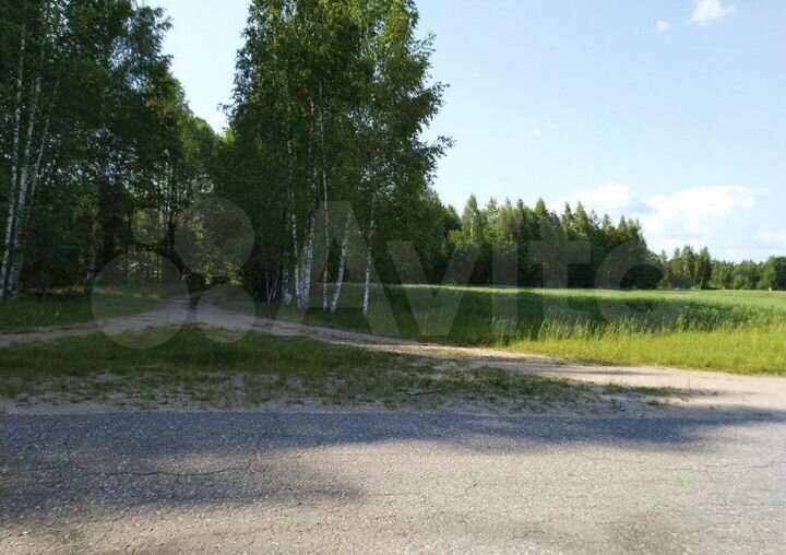 Участок 12,4 сот. (СНТ, ДНП)