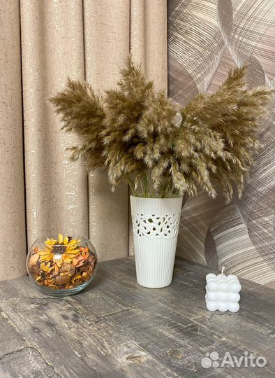 Пампасная трава сухоцветы
