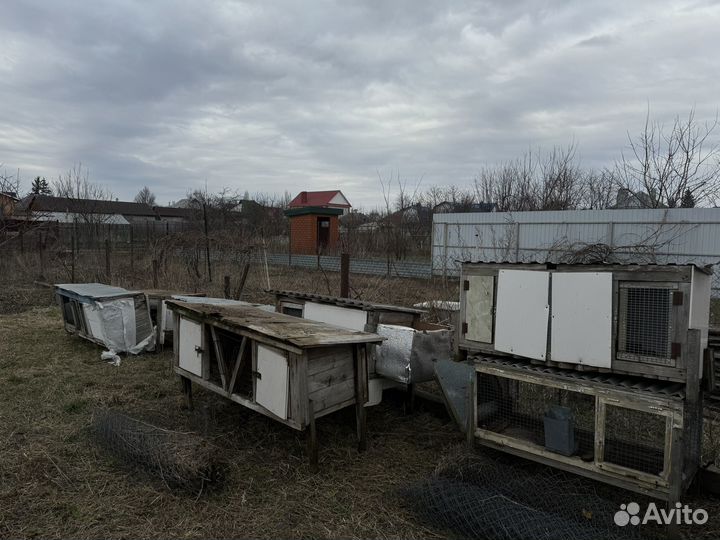 Клетки для перепелов и кроликов