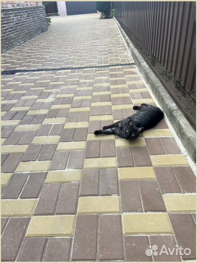 Тротуарная плитка и поребрик от 120 м2