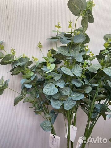 Эвкалипт искусственный (6 веток)