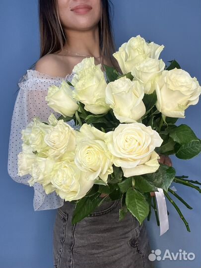 Розы Эквадор коупгые мондиаль