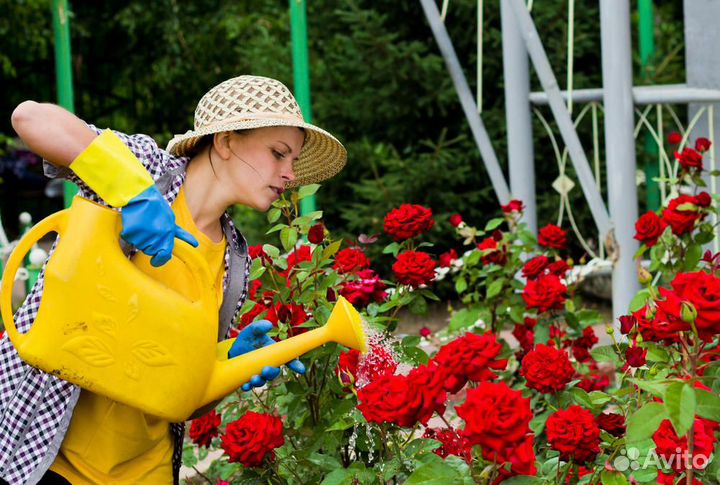 Цветовод (3 дня в неделю)