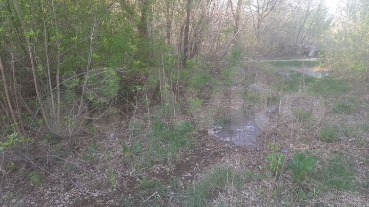 Участок 66 сот. (промназначения)