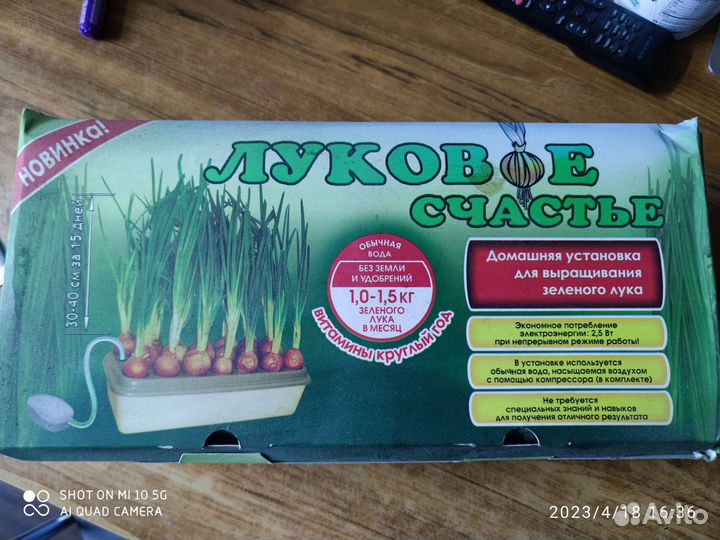 Луковое счастье