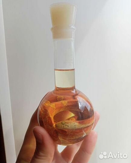 Змея в колбе. Учебное пособие змея