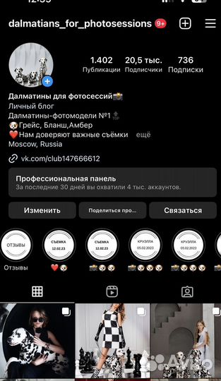 Далматины/далматинец для фотосессий/фотосессия