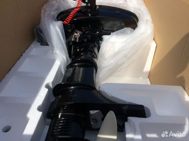 Лодочный мотор HDX (Хдх) F 5 BMS витрина