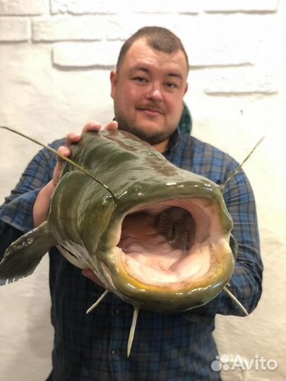 Чучела рыб подарок рыбаку