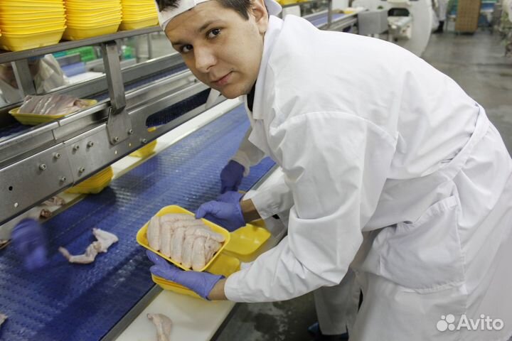 Работа на птицефабрике: вахтовым методом Пермь