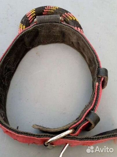 Строгий ошейник для собак