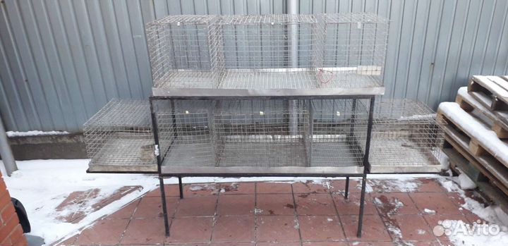 Клетка-витрина для перевозки и продажи разборная д