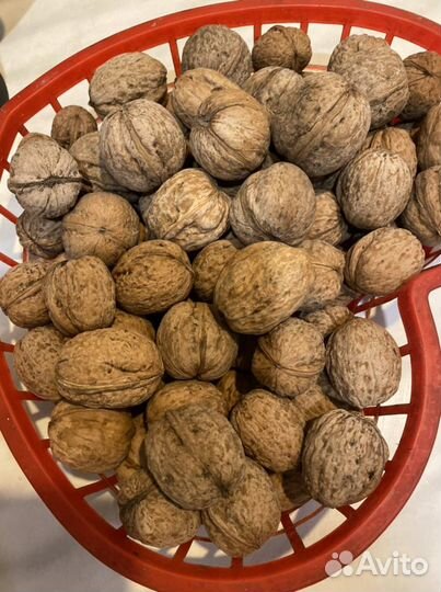 Орех грецкий оптом