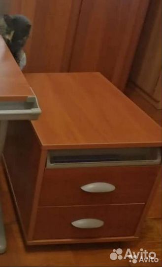 Растущая парта дэми, тумбочка