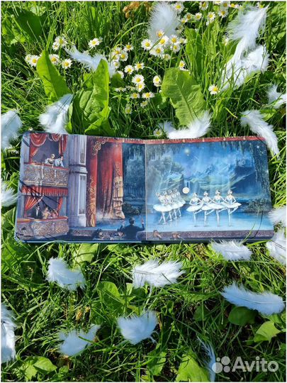 Лебединое озеро книга музыкальная