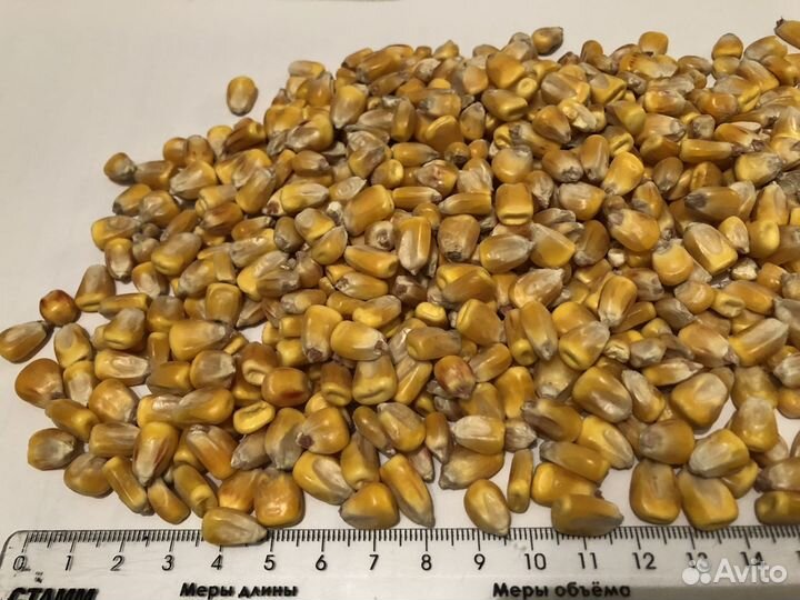 Кукурузаиячмень, пшеницаиовес, жмыхижом