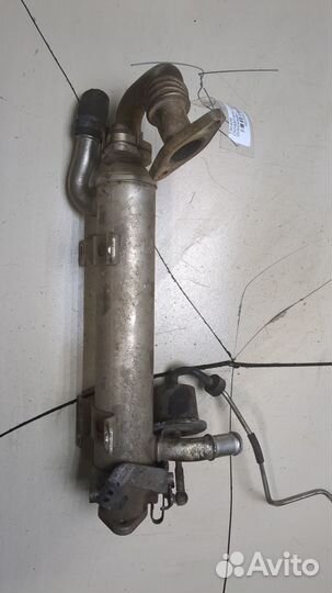 Охладитель отработанных газов Volkswagen Tiguan, 2