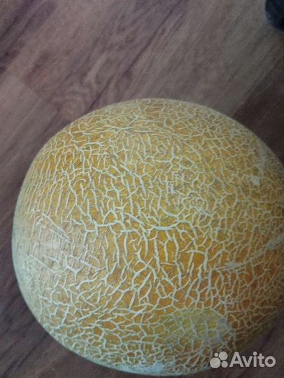 Арбуз и дыня