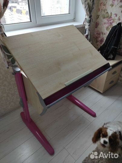 Растущая парта стул Дэми