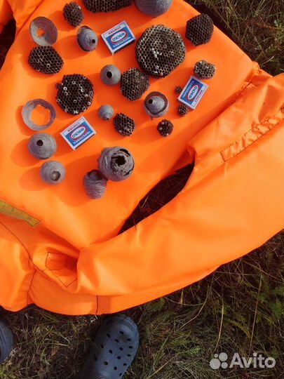 Осиное гнездо. Улей