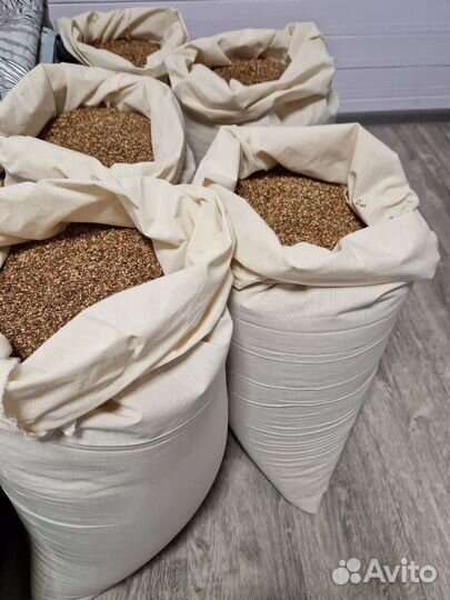 Семена сосны опт